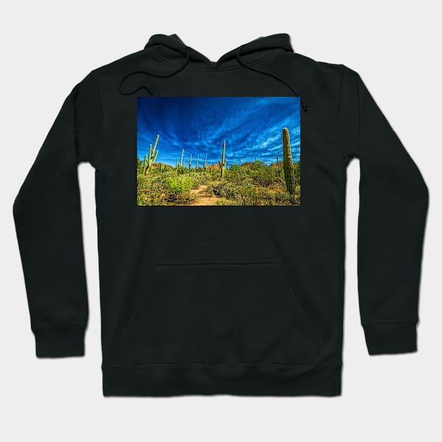 Saguaro National Park Hoodie by Gestalt Imagery